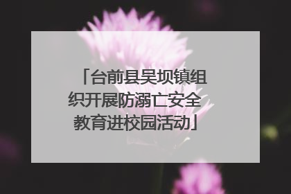 台前县吴坝镇组织开展防溺亡安全教育进校园活动