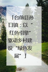 台前县孙口镇：以“红色引擎”驱动乡村建设“绿色发展”