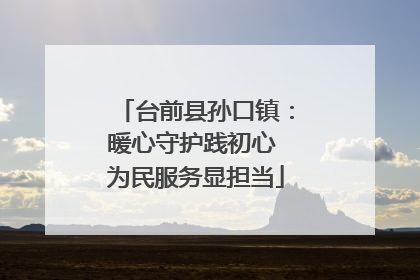 台前县孙口镇：暖心守护践初心 为民服务显担当