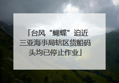 台风“蝴蝶”迫近 三亚海事局辖区货船码头均已停止作业