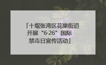 十堰张湾区花果街道开展“6·26”国际禁毒日宣传活动