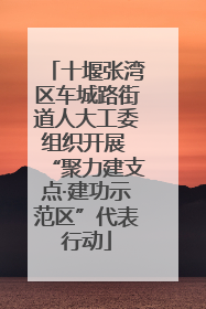 十堰张湾区车城路街道人大工委组织开展 “聚力建支点·建功示范区”代表行动