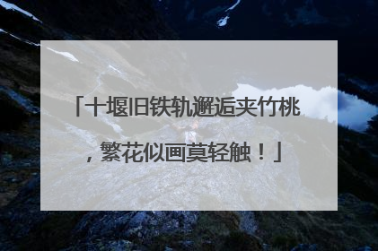 十堰旧铁轨邂逅夹竹桃，繁花似画莫轻触！