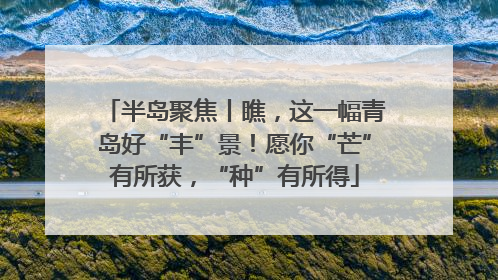 半岛聚焦丨瞧，这一幅青岛好“丰”景！愿你“芒”有所获，“种”有所得