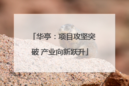 华亭：项目攻坚突破 产业向新跃升