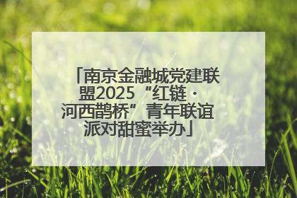 南京金融城党建联盟2025“红链・河西鹊桥”青年联谊派对甜蜜举办