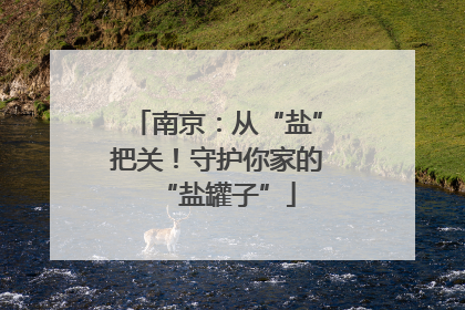 南京：从“盐”把关！守护你家的“盐罐子”