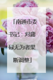 南通市委书记：对庸碌无为者果断调整