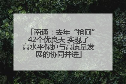 南通：去年“抢回”42个优良天 实现了高水平保护与高质量发展的协同并进