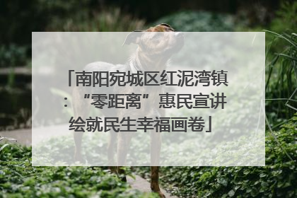 南阳宛城区红泥湾镇：“零距离”惠民宣讲 绘就民生幸福画卷