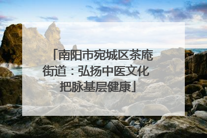 南阳市宛城区茶庵街道：弘扬中医文化 把脉基层健康