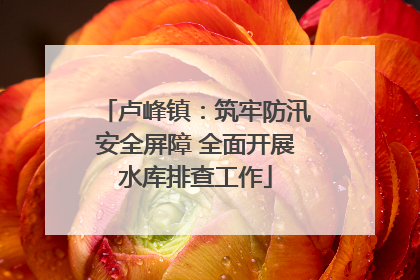 卢峰镇：筑牢防汛安全屏障 全面开展水库排查工作