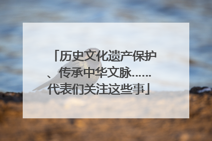 历史文化遗产保护、传承中华文脉……代表们关注这些事