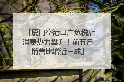 厦门空港口岸免税店消费热力攀升！前五月销售比增近三成