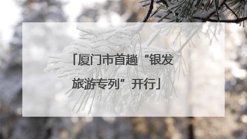 厦门市首趟“银发旅游专列”开行