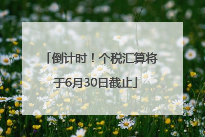 倒计时！个税汇算将于6月30日截止