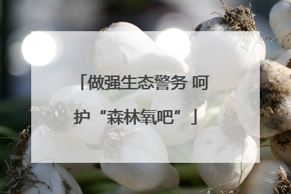 做强生态警务 呵护“森林氧吧”