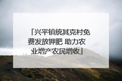 兴平镇统其克村免费发放钾肥 助力农业增产农民增收