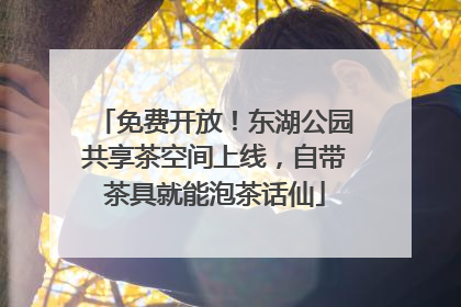 免费开放！东湖公园共享茶空间上线，自带茶具就能泡茶话仙