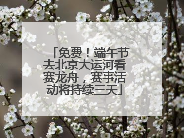 免费！端午节去北京大运河看赛龙舟，赛事活动将持续三天