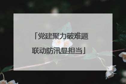 党建聚力破难题 联动防汛显担当