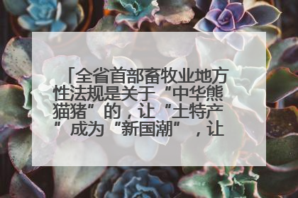 全省首部畜牧业地方性法规是关于“中华熊猫猪”的，让“土特产”成为“新国潮”，让“农产品”升格为“城市IP”