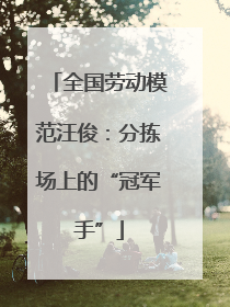 全国劳动模范汪俊：分拣场上的“冠军手”