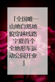 全国唯一山地自然地貌穿越线路 宁夏首个全地形车运动公园开业