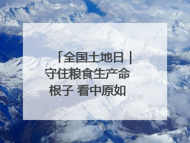 全国土地日｜守住粮食生产命根子 看中原如何“耕”新