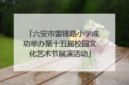 六安市雷锋路小学成功举办第十五届校园文化艺术节展演活动