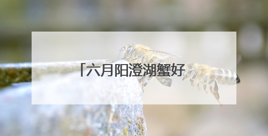六月阳澄湖蟹好 苏式服务更贴心
