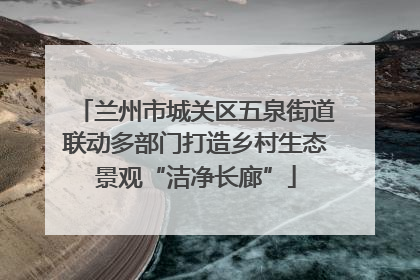 兰州市城关区五泉街道联动多部门打造乡村生态景观“洁净长廊”