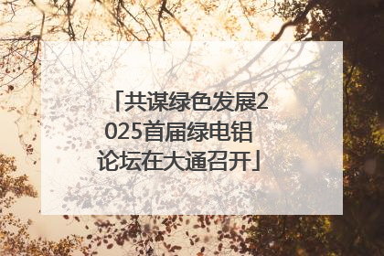 共谋绿色发展2025首届绿电铝论坛在大通召开