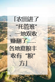 农田进了“托管班”、一地双收赚翻了……各地夏粮丰收有“粮”方