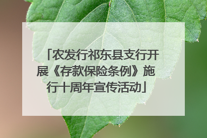 农发行祁东县支行开展《存款保险条例》施行十周年宣传活动