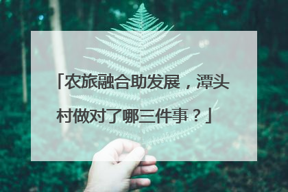 农旅融合助发展，潭头村做对了哪三件事？