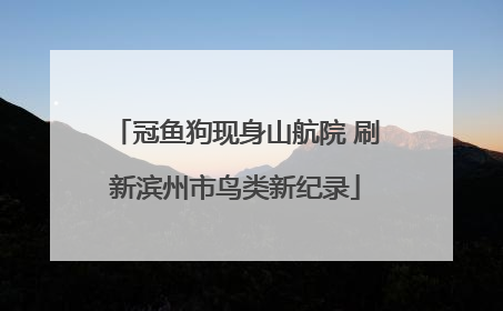 冠鱼狗现身山航院 刷新滨州市鸟类新纪录