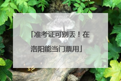 准考证可别丢！在洛阳能当门票用