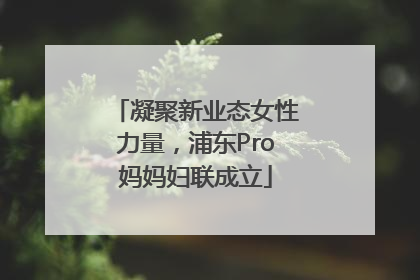凝聚新业态女性力量，浦东Pro妈妈妇联成立