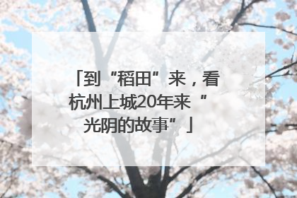 到“稻田”来，看杭州上城20年来“光阴的故事”