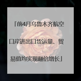 前4月乌鲁木齐航空口岸进出口货运量、贸易值均实现翻倍增长
