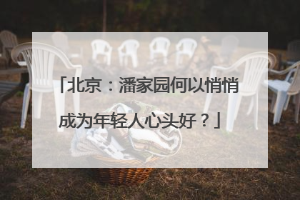 北京：潘家园何以悄悄成为年轻人心头好？