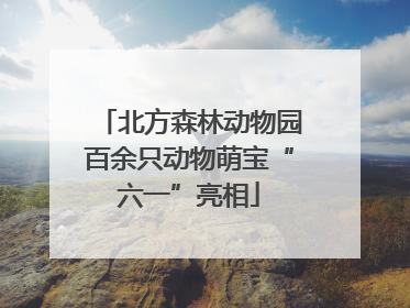 北方森林动物园百余只动物萌宝“六一”亮相