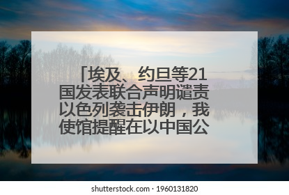 埃及、约旦等21国发表联合声明谴责以色列袭击伊朗，我使馆提醒在以中国公民尽快陆路离境