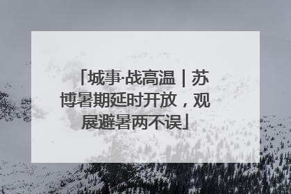 城事·战高温｜苏博暑期延时开放，观展避暑两不误