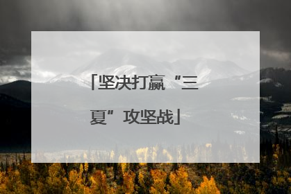 坚决打赢“三夏”攻坚战