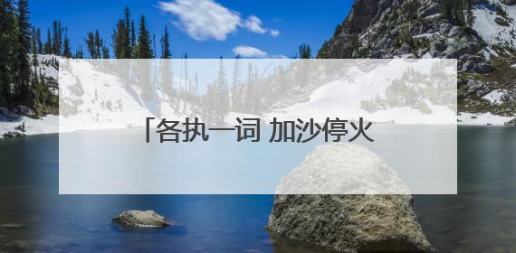 各执一词 加沙停火方案陷“罗生门”