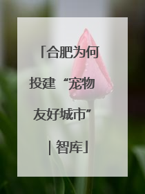 合肥为何投建“宠物友好城市”｜智库