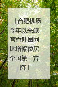 合肥机场今年以来旅客吞吐量同比增幅位居全国第一方阵