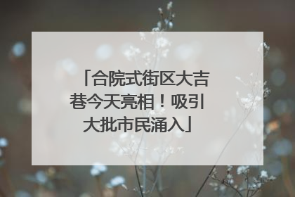 合院式街区大吉巷今天亮相！吸引大批市民涌入